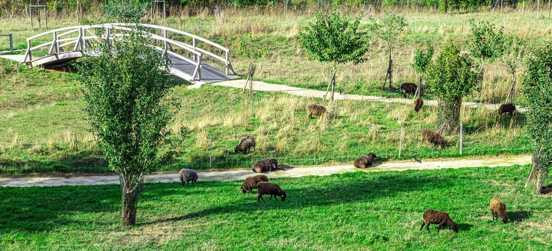 Le Green Des Impressionnistes Ennery  Dış mekan fotoğraf